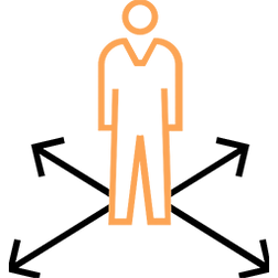 Career